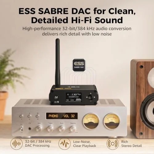 The 1Mii DS220 Bluetooth Receiver for Home Stereo, Hi-Res LDAC & in real use