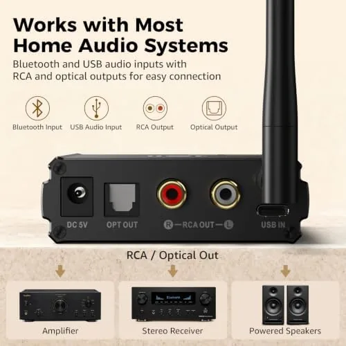 Another view of the 1Mii DS220 Bluetooth Receiver for Home Stereo, Hi-Res LDAC &