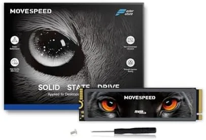 Overview of the MOVE SPEED HB7450 2TB SSD for PS5 with Heatsink TLC