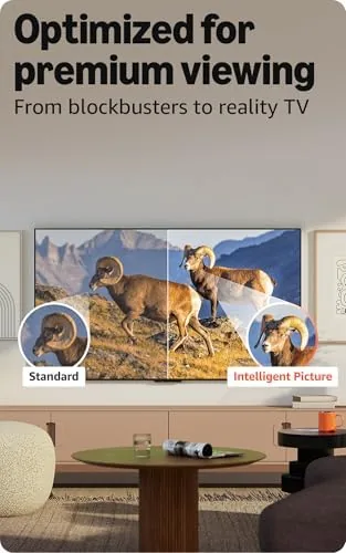 Ember 55 Mini-LED television compared beside a standard QLED and an OLED television