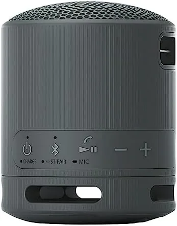 The XB100 speaker inside its padded travel case with the cable