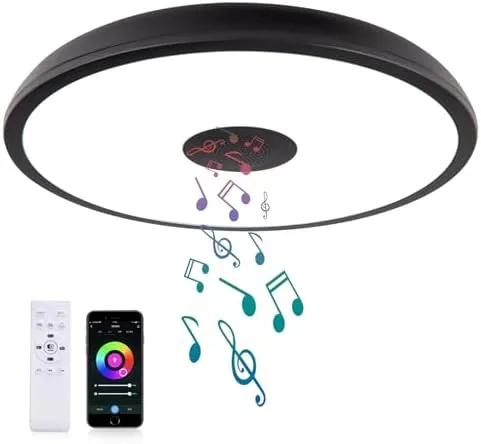 Overview of the Black Smart Waterproof LED Flush Mount Ceiling Light Fixture,18W,with Bluetooth