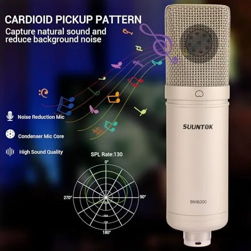 Another view of the Condenser Microphone XLR, Large Diaphgram Professional Recording Cardioid Microphone Kit