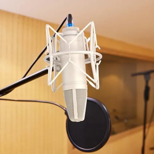 Testing the Condenser Microphone XLR, Large Diaphgram Professional Recording Cardioid Microphone Kit over two weeks