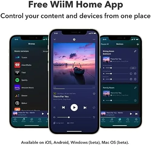 The WiiM Pro Plus Music Streamer for Stereo Systems, Modernize Your compared in context