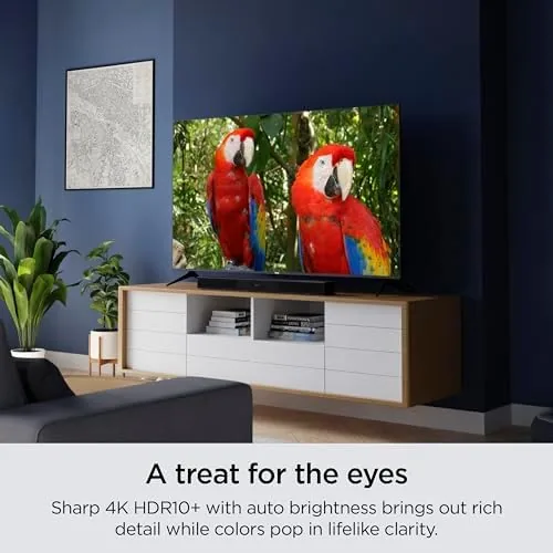 The Roku Smart TV ,  55-Inch Select Series 4K HDR RokuTV in real use