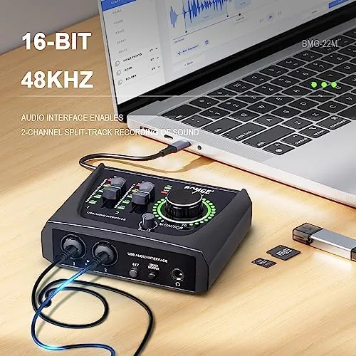 The mini 2 Channel USB Audio Interface for Recording, Streaming and in real use