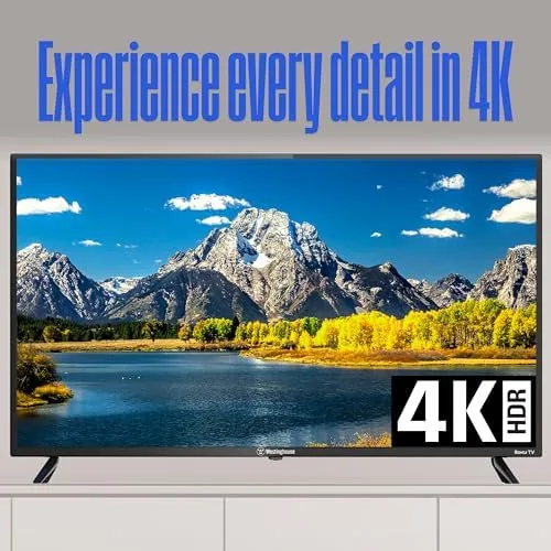 The Roku home screen displayed on the Westinghouse TV with the app grid visible