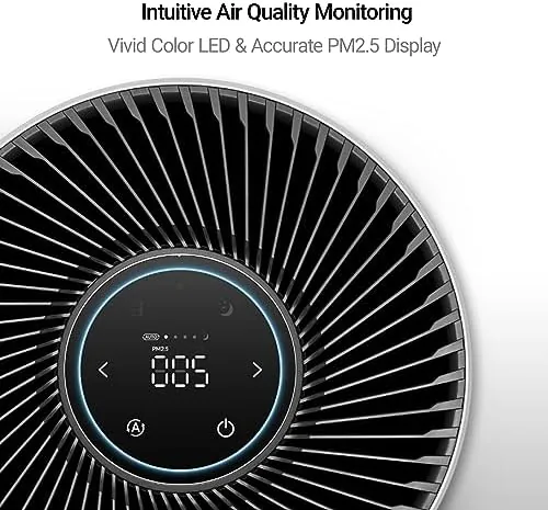 WINIX T810 display showing a clean air quality reading during the day