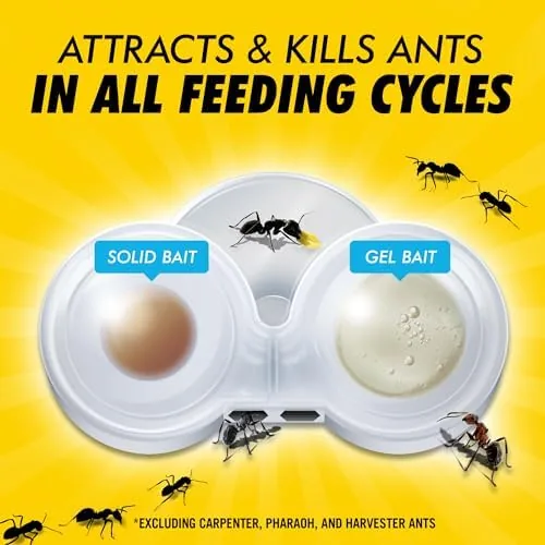 The Combat Max 2in1 Ant Bait Station, Indoor & Outdoor Use in real use