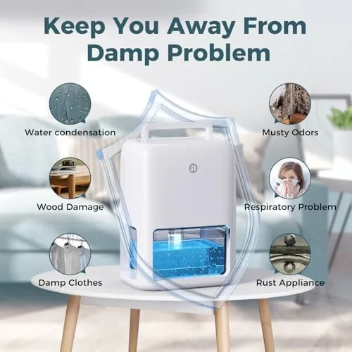 Testing the 60 OZ Dehumidifiers for Home, Dual-Semiconductor Quiet Dehumidifier with Timer over two weeks