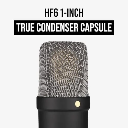 Rear panel of the microphone showing the high-pass filter and pad switches