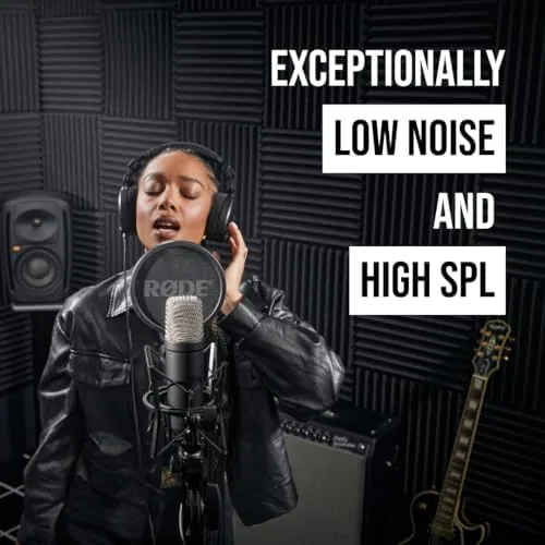 A vocalist recording into the microphone in a small treated room