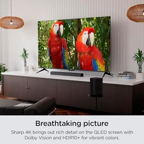 The Roku Smart TV ,  65-Inch Plus Series 4K QLED RokuTV in real use