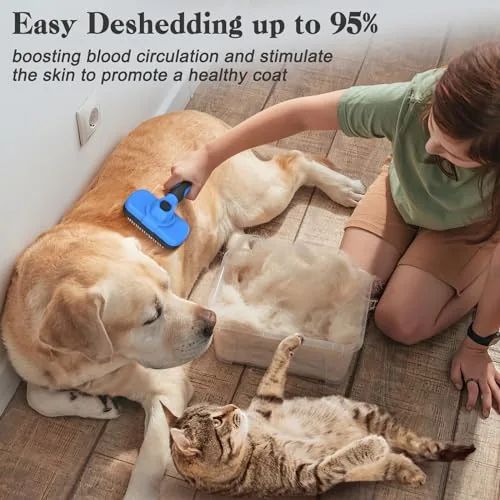 Cat sitting calmly while being brushed with the Swihauk