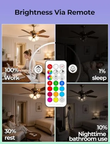 The ILC E17 Intermediate Base LED Light Bulbs (40w Equivalent) 5W compared in context