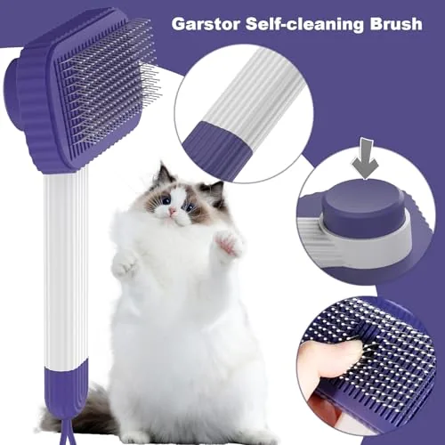 A short haired cat being brushed calmly on a lap