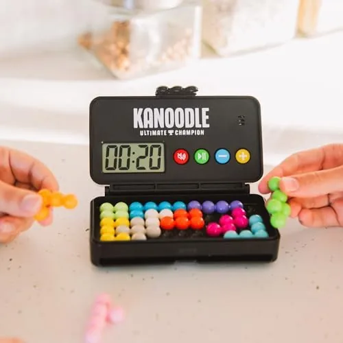 The Kanoodle Ultimate Champion beside a marble run game and a twist puzzle