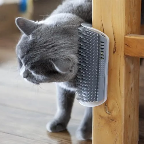Close up of the rounded bristles on the miwoowim corner cat groomer