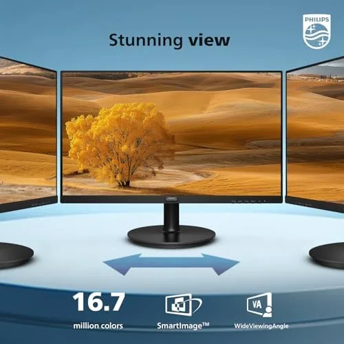 Screensaver and text displayed on the 221V8LB