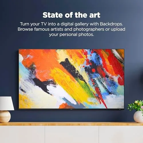 The Roku Smart TV ,  65-Inch Pro Series 4K QLED RokuTV compared in context