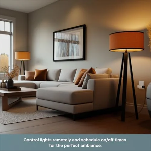 The Smart Plug, Compatible with Alexa, Google Assistant, Samsung SmartThings, Remote in real use