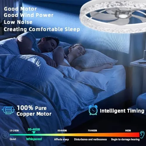 The Ceiling Fan with Light, Low Profile Flush Mount Ceiling Fan compared in context