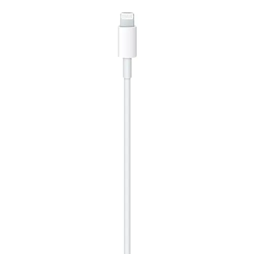 Cable connected to a USB-C wall charger and an iPhone