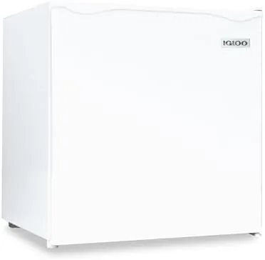 The white Igloo mini fridge in a small dorm style room