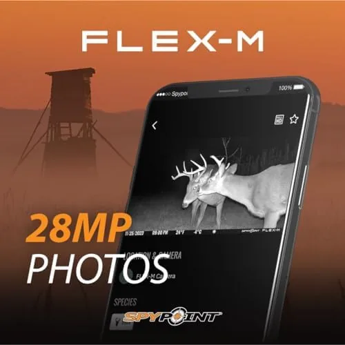 The SPYPOINT Flex-M Twin Pack Cellular Trail Cameras - Best Hunting compared in context