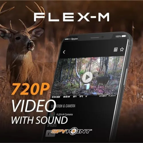 Testing the SPYPOINT Flex-M Twin Pack Cellular Trail Cameras - Best Hunting over two weeks