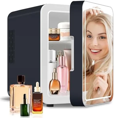 Overview of the Upgrade Skincare Fridge with Dimmable LED Light Mirror, 4L/6Can Cooler
