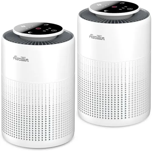 2 Pack Air Purifiers for Home Bedroom H13 True HEPA Air Filter Cleaner, Odor Review: Tested and Rated