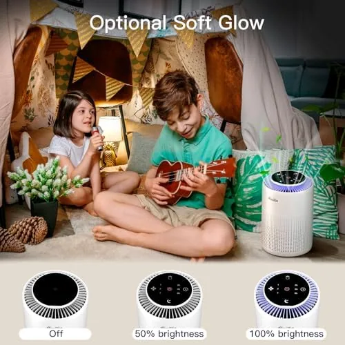 Testing the 2 Pack Air Purifiers for Home Bedroom H13 True HEPA over two weeks