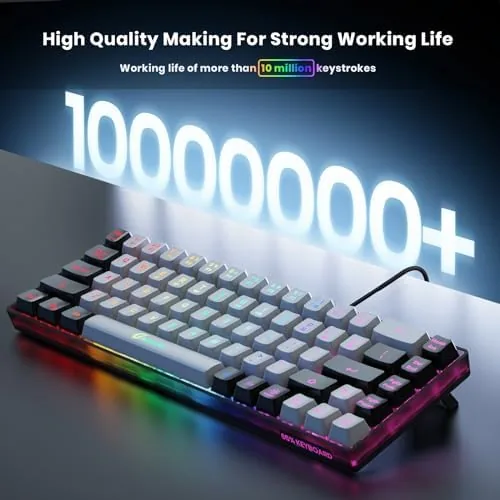 The backlit keys glowing in a dim room during a gaming session