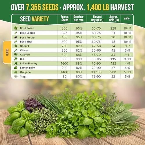 The 12 Culinary Herbs Seeds Variety Pack - 7,355+ Heirloom, Non-GMO in real use