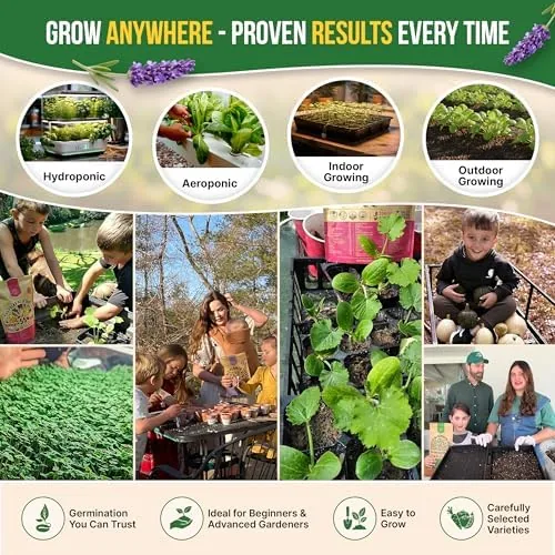 Another view of the 12 Culinary Herbs Seeds Variety Pack - 7,355+ Heirloom, Non-GMO