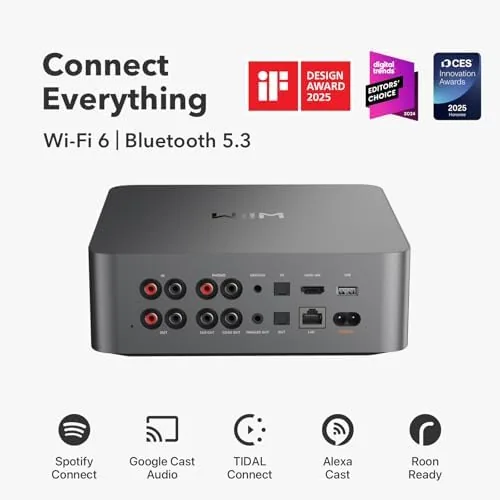 Close look at the WiiM Ultra Hi-Res Music Streamer with Touchscreen & ESS DAC build quality