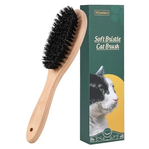 Boar bristle cat brush with wooden handle on a table