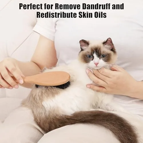 Brush being used gently on a short-haired cat back