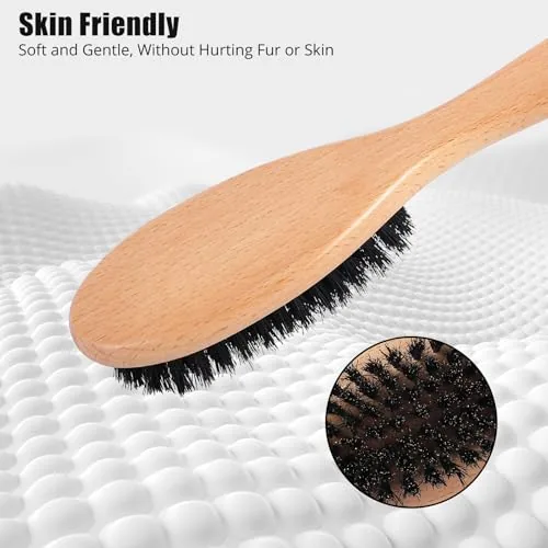 Kitten being brushed gently with the boar bristle brush