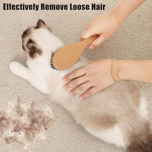 Grooming kit with the boar bristle brush beside a slicker brush
