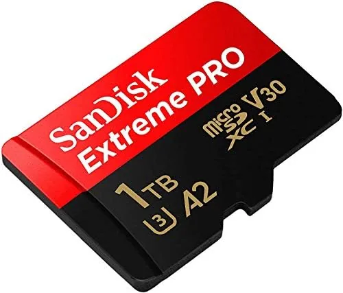 The SanDisk 1TB MicroSD Card Extreme Pro Compatible with Insta360 X4 in real use