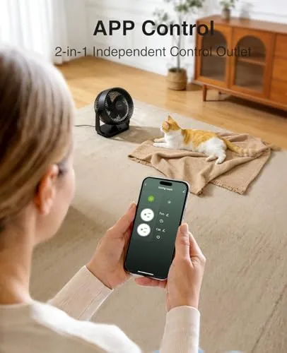 The app interface showing two independent switches for the dual smart plug