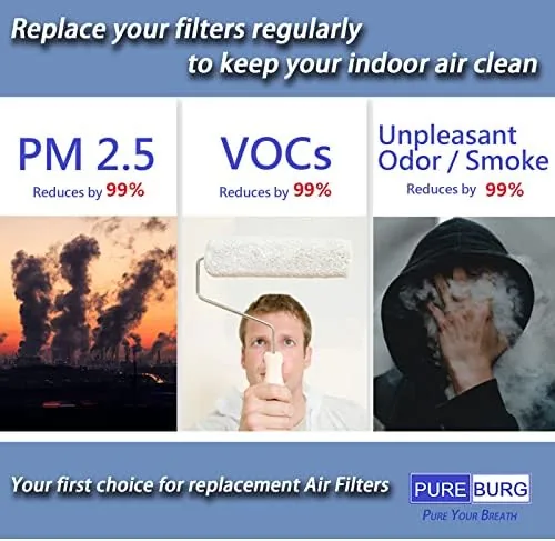 Testing the PUREBURG SDL-30P Replacement Filter Compatible with Shinco SDL 30 Pint over two weeks