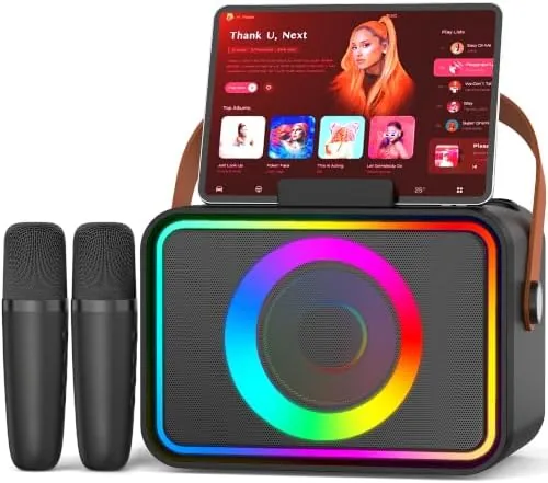 Overview of the Karaoke Machine for Kids Adults,Portable Bluetooth Speaker with 2 Wireless