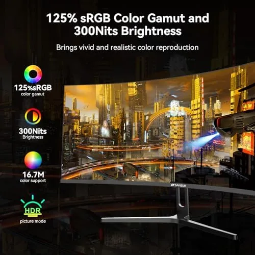 Back of the SANSUI monitor showing the HDMI and DisplayPort connections