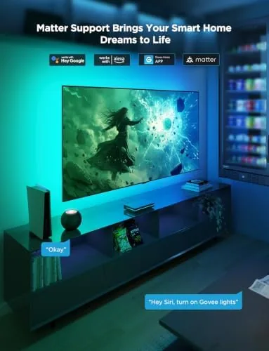 The Govee HDMI 2.1 AI Sync Box 2, 8K/4K @144Hz, RGBWIC compared in context