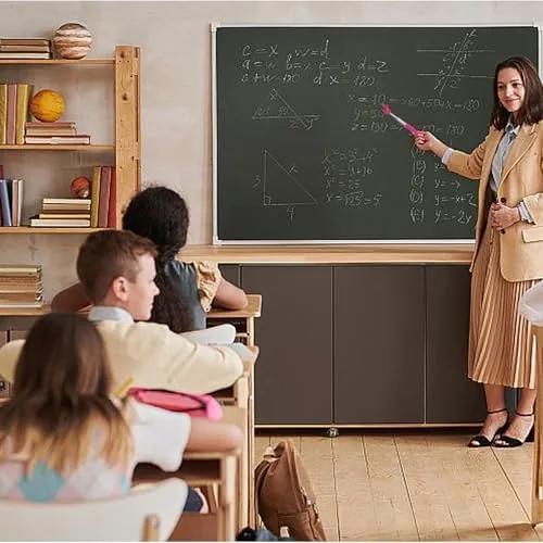The 5PCS Pointer Stick For Classroom ,  Multipurpose Teacher Pointer Stick in real use