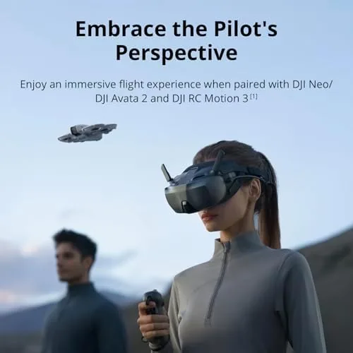 Ultra-wide 1080p view as seen through the DJI Goggles N3 display